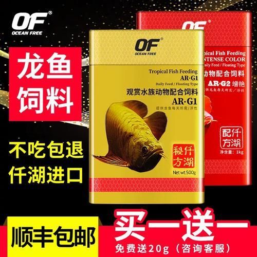 有哪些適合龍魚的飼料品牌，如何選擇龍魚飼料
