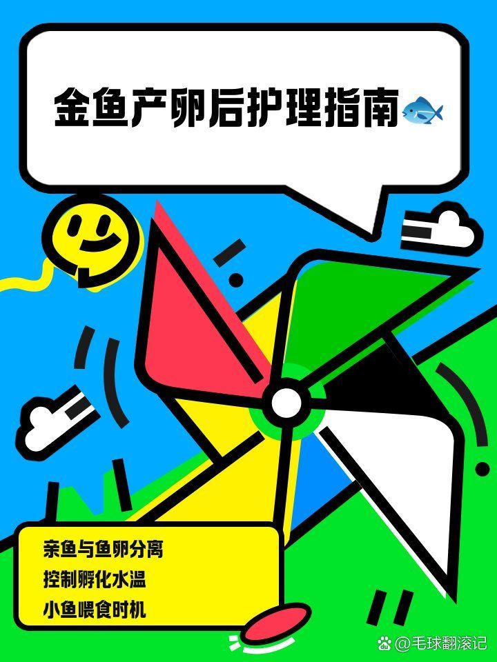 金魚產卵后如何護理，金魚產卵后護理工作至關重要，金魚產卵后如何護理