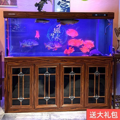 給我推薦幾款森森和閩江的熱龍魚缸，森森和閩江哪個品牌更好