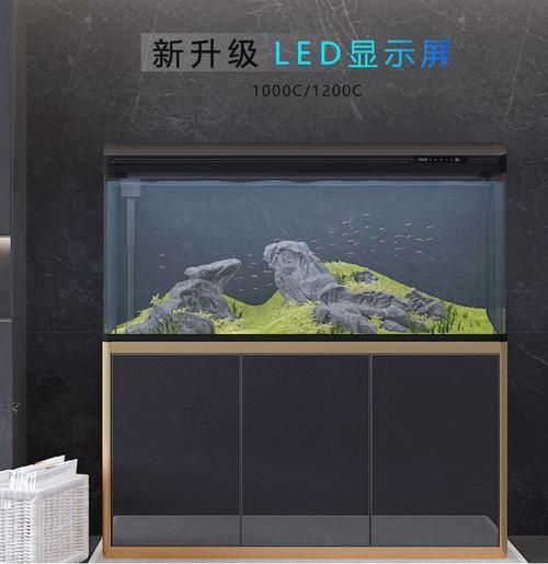 如何區分祥龍魚缸的真偽?,祥龍魚缸的真偽鑒別 龍魚百科 第6張 如何區分祥龍魚缸的真偽?,祥龍魚缸的真偽鑒別 如何區分祥龍魚缸的真偽?,祥龍魚缸的真偽鑒別 龍魚百科 第6張