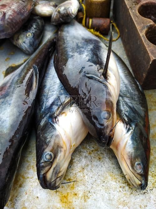 南平龍魚的市場價格是多少？，南平龍魚市場價格是多少南平龍魚市場價格對比表 南平龍魚的市場價格是多少？，南平龍魚市場價格是多少南平龍魚市場價格對比表 龍魚百科 第5張