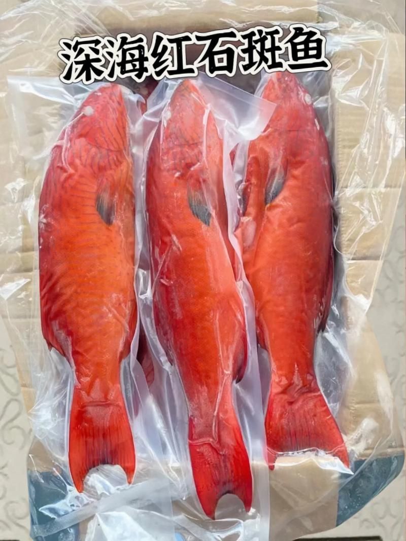 深海紅龍魚有哪些品種，“深海紅龍魚”品種對比表，幫你快速分辨紅龍和橘紅龍的區別 深海紅龍魚有哪些品種，“深海紅龍魚”品種對比表，幫你快速分辨紅龍和橘紅龍的區別 龍魚百科 第11張