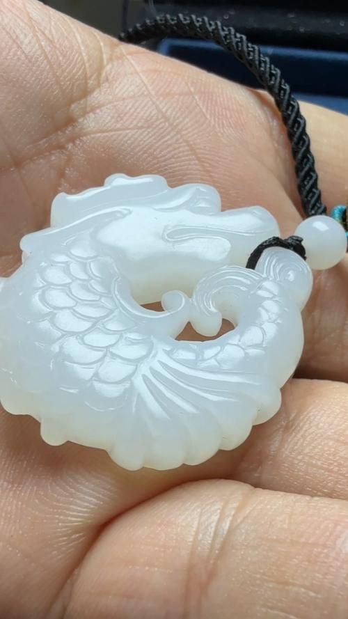 給我一些關(guān)于魚化龍的圖片，關(guān)于魚化龍的一些圖片