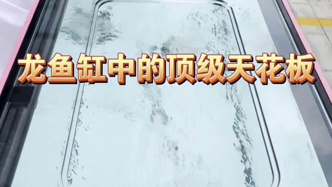 推薦一些適合龍魚的魚缸品牌