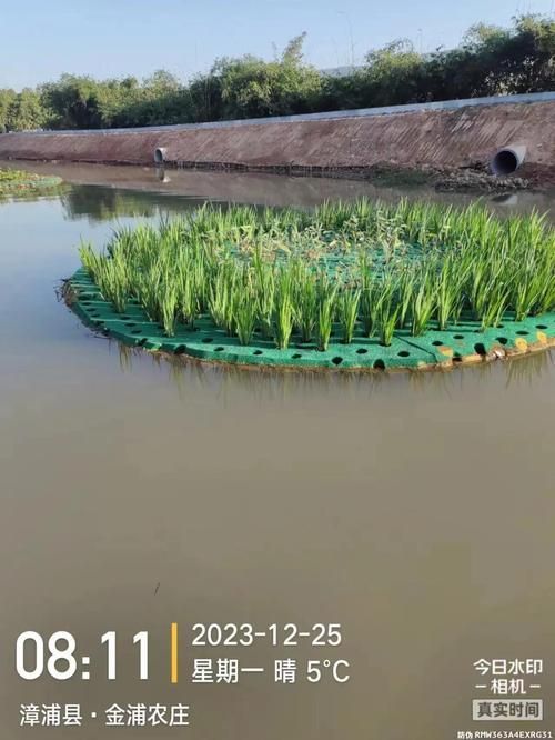 如何預(yù)防魚浮頭,/水產(chǎn)養(yǎng)殖魚浮頭預(yù)防詳解:如何預(yù)防魚浮頭 龍魚百科 第5張 如何預(yù)防魚浮頭,/水產(chǎn)養(yǎng)殖魚浮頭預(yù)防詳解:如何預(yù)防魚浮頭 如何預(yù)防魚浮頭,/水產(chǎn)養(yǎng)殖魚浮頭預(yù)防詳解:如何預(yù)防魚浮頭 龍魚百科 第5張