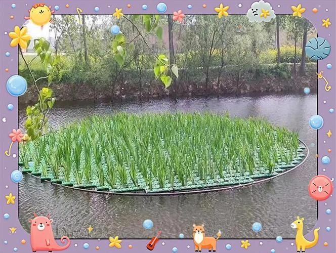 如何預(yù)防魚浮頭,/水產(chǎn)養(yǎng)殖魚浮頭預(yù)防詳解:如何預(yù)防魚浮頭 龍魚百科 第7張 如何預(yù)防魚浮頭,/水產(chǎn)養(yǎng)殖魚浮頭預(yù)防詳解:如何預(yù)防魚浮頭 如何預(yù)防魚浮頭,/水產(chǎn)養(yǎng)殖魚浮頭預(yù)防詳解:如何預(yù)防魚浮頭 龍魚百科 第7張