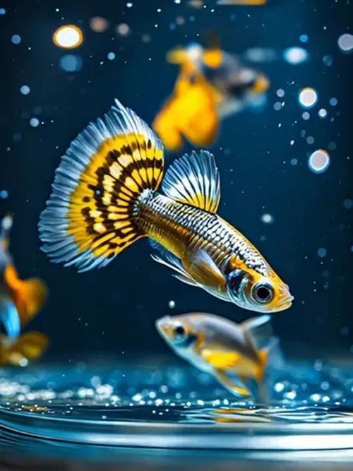 能否提供十大最好養(yǎng)魚的詳細圖文介紹 龍魚百科 第10張 能否提供十大最好養(yǎng)魚的詳細圖文介紹 能否提供十大最好養(yǎng)魚的詳細圖文介紹 龍魚百科 第10張