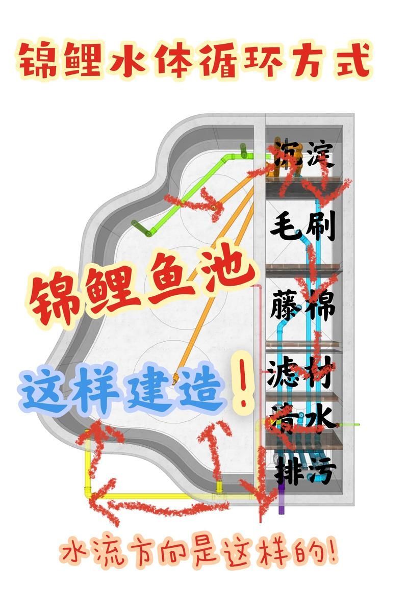 如何預防金魚炸鱗，金魚炸鱗預防系統性預防指南（1000字詳解）