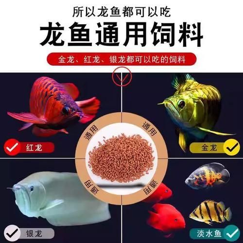 有哪些品牌飼料適合祥龍超血紅龍魚，不要我，整理一份祥龍受歡迎的觀賞魚飼料