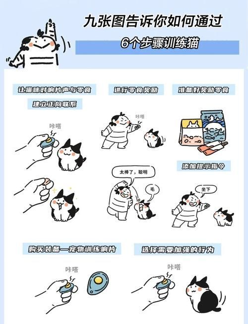 如何訓練貓咪不捕魚，如何科學訓練貓咪不捕魚