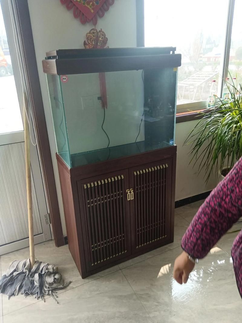有哪些品牌龍魚缸寬度推薦？，有哪些品牌龍魚缸寬度推薦? 有哪些品牌龍魚缸寬度推薦？，有哪些品牌龍魚缸寬度推薦? 龍魚百科 第4張