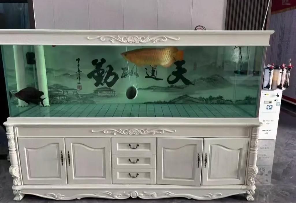 有哪些品牌龍魚缸寬度推薦？，有哪些品牌龍魚缸寬度推薦? 有哪些品牌龍魚缸寬度推薦？，有哪些品牌龍魚缸寬度推薦? 龍魚百科 第7張