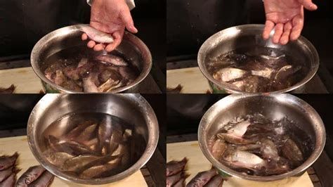 黑鱗魚(yú)最簡(jiǎn)單三個(gè)步驟，黑鱗魚(yú)最簡(jiǎn)單三個(gè)步驟，不僅操作便捷還能保留魚(yú)肉鮮美