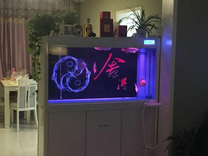 有哪些適合過(guò)背金龍的魚(yú)缸背景紙，如何安裝魚(yú)缸背景紙
