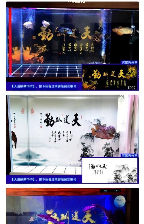 有哪些適合過(guò)背金龍的魚(yú)缸背景紙，如何安裝魚(yú)缸背景紙
