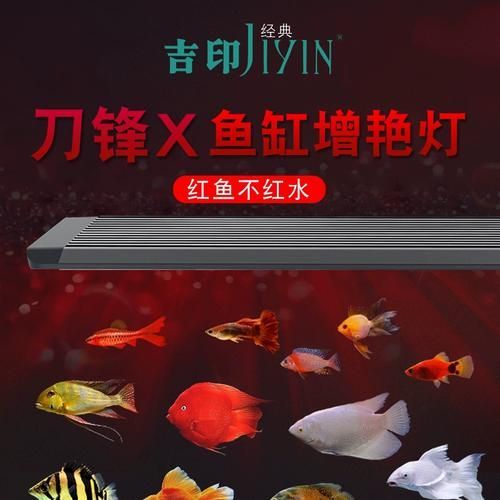 龍魚鸚鵡魚增色燈哪個品牌最好？，龍魚鸚鵡魚增色燈哪個品牌最好吉印和馬印哪個更值得購買