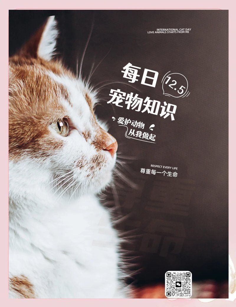 如何判斷龍魚卡喉是否需要就醫，如何判斷龍魚卡喉是否需要就醫？ 如何判斷龍魚卡喉是否需要就醫，如何判斷龍魚卡喉是否需要就醫？ 龍魚百科 第1張