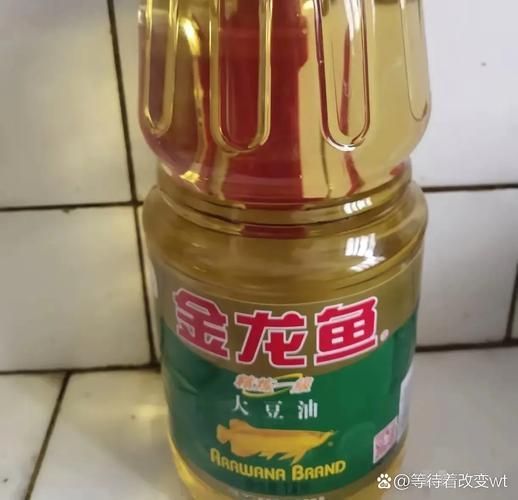 金龍魚收藏價值評估方法，金龍魚收藏價值評估方法思考完成金龍魚收藏價值評估方法