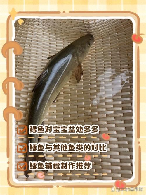 鱈魚和龍鱈魚哪個更有營養，鱈魚和龍鱈魚哪個更有營養鱈魚和龍鱈魚哪個更有營養