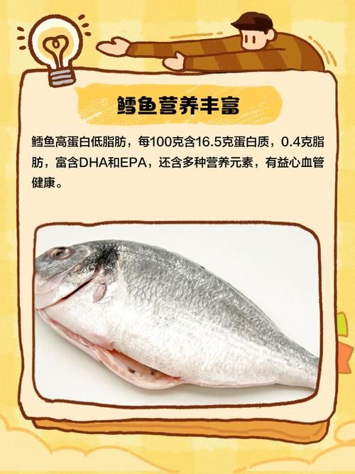 鱈魚和龍鱈魚哪個更有營養，鱈魚和龍鱈魚哪個更有營養鱈魚和龍鱈魚哪個更有營養