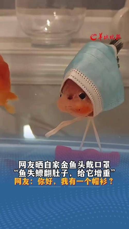 如何判斷魚類是否患失鰾癥，如何判斷魚類患失鰾癥