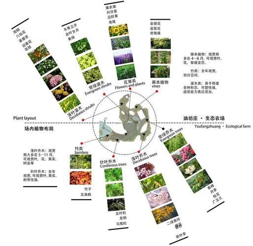 詳細閱讀:有哪些具體的遮蔽物設置建議,《西安城市綠化條例》 有哪些具體的遮蔽物設置建議,《西安城市綠化條例》