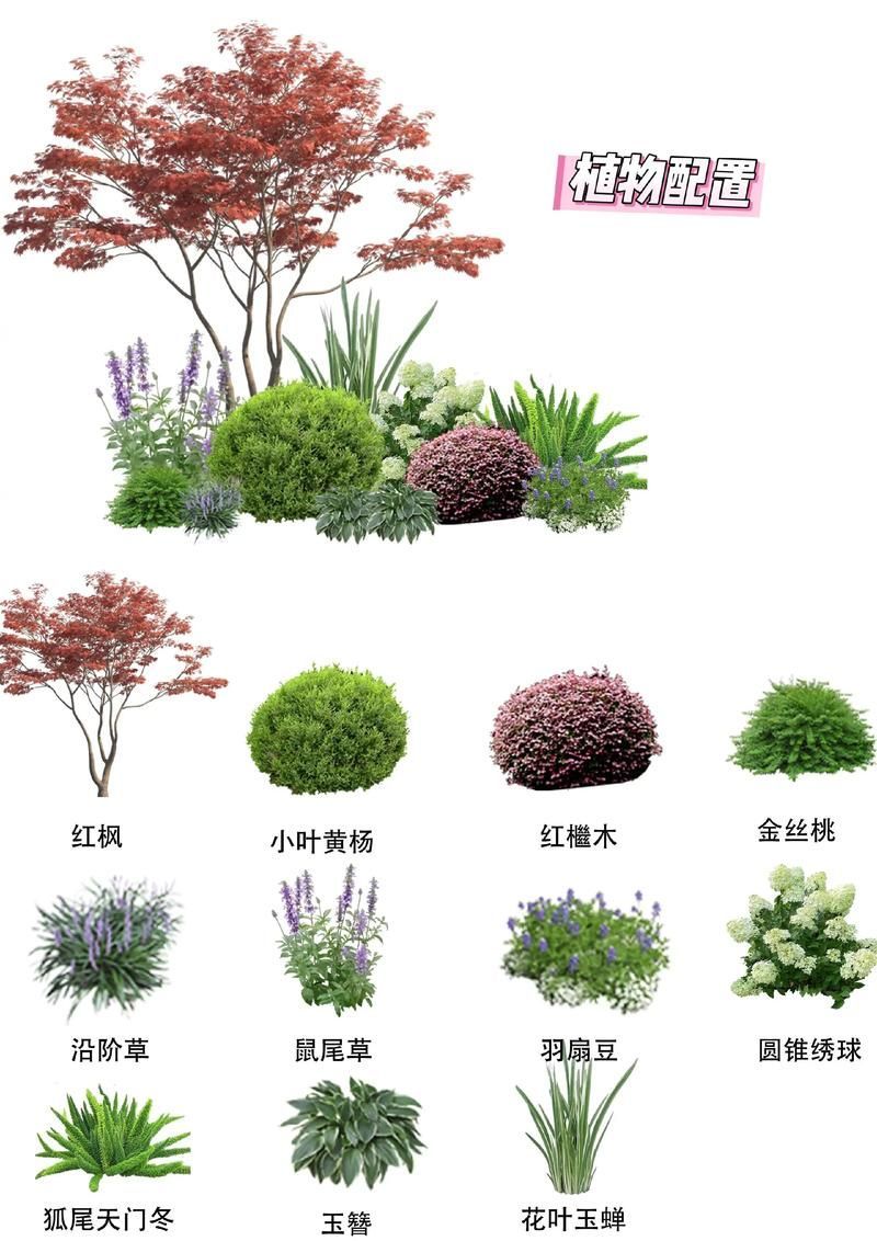 有哪些具體的遮蔽物設置建議，《西安城市綠化條例》