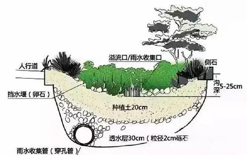 有哪些具體的遮蔽物設置建議，《西安城市綠化條例》