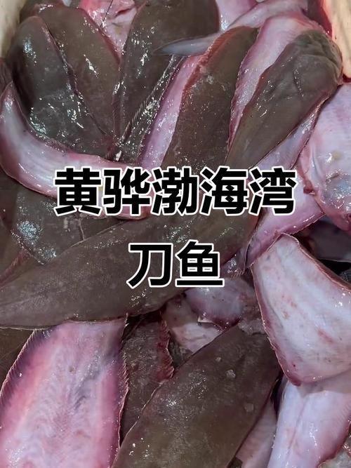 黃驊龍魚有哪些特點(diǎn)，黃驊千字詳解黃驊千字詳解黃驊龍魚