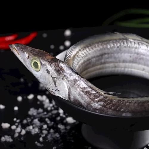 黃驊龍魚有哪些特點(diǎn)，黃驊千字詳解黃驊千字詳解黃驊龍魚