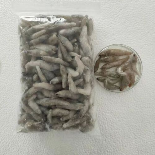 草魚肉喂龍魚有哪些注意事項(xiàng)？，草魚肉喂龍魚的注意事項(xiàng)