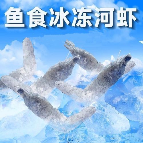 草魚肉喂龍魚有哪些注意事項(xiàng)？，草魚肉喂龍魚的注意事項(xiàng)