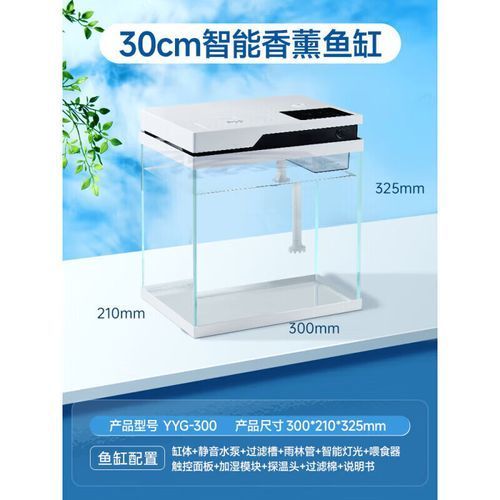 森森和YEE哪個更適合新手？，森森和yee哪個好