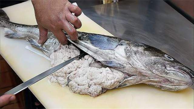 詳細閱讀:魚白有哪些烹飪方法,魚白烹飪方法是幾種常見的魚白烹飪方法 魚白有哪些烹飪方法,魚白烹飪方法是幾種常見的魚白烹飪方法