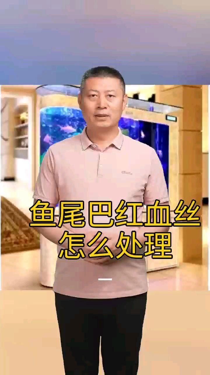 詳細閱讀:如何預防魚尾巴發紅有紅血絲 如何預防魚尾巴發紅有紅血絲