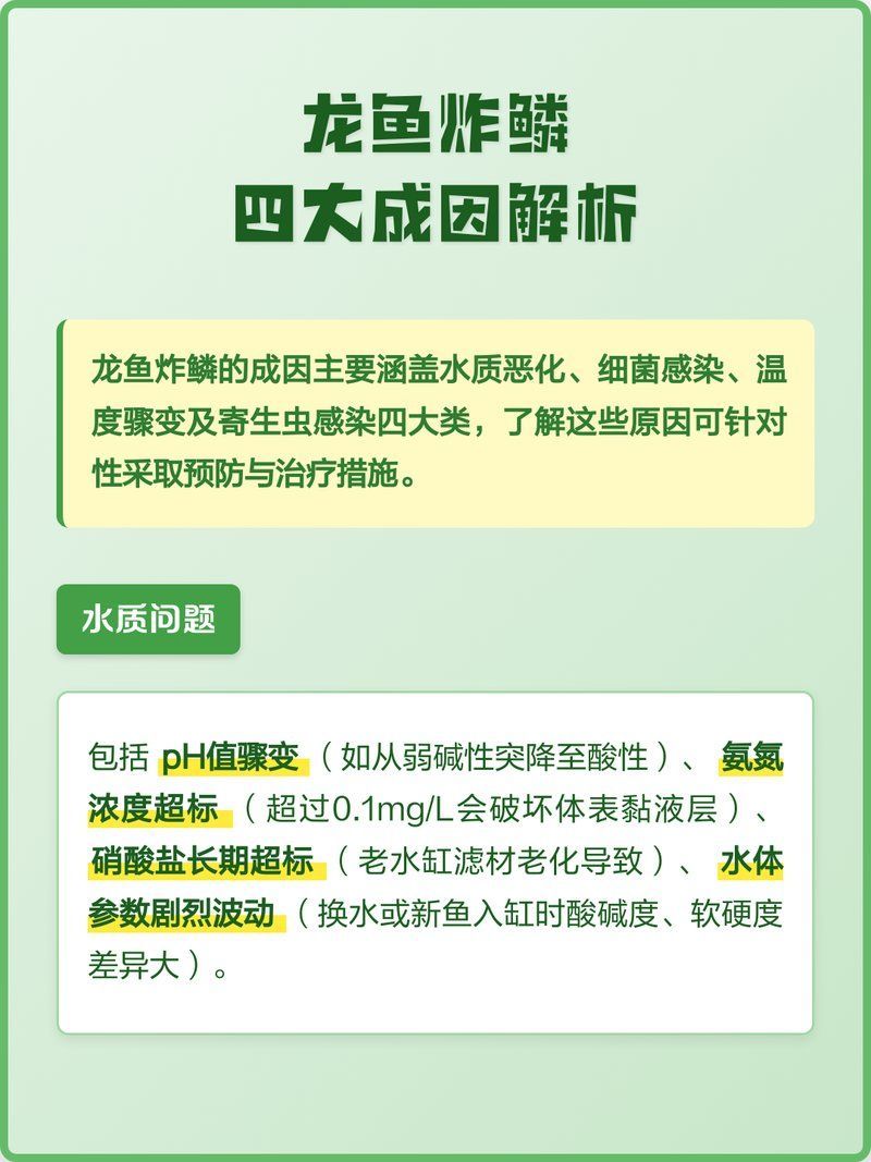 有哪些食物可以預防龍魚炸鱗，如何預防龍魚炸鱗