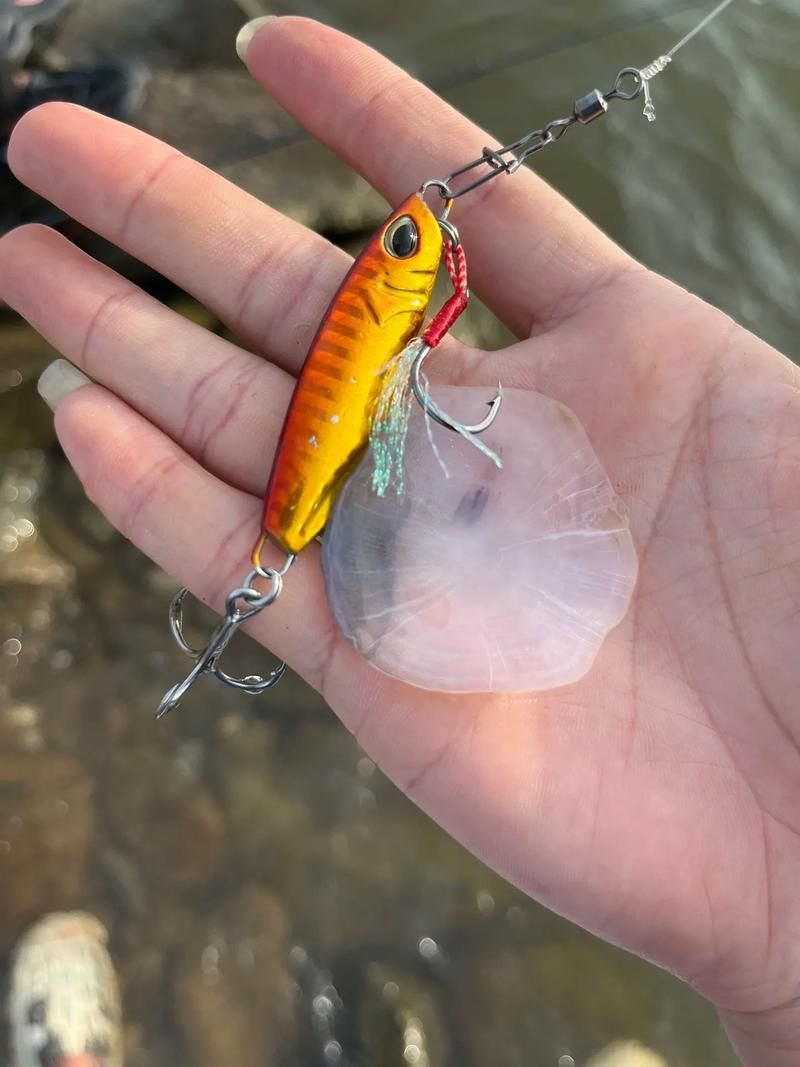 如何鑒別真假三都龍魚？，三都龍魚鑒別真假三都龍魚（福建三都澳地區(qū)、權威圖文鑒別指南）