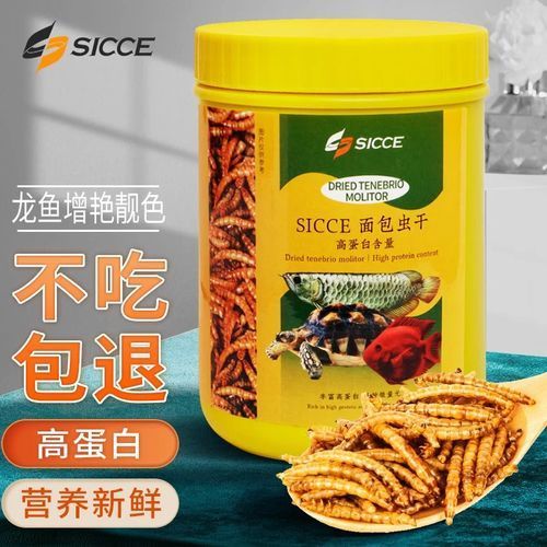 有哪些食物不適合小紅龍魚，關于小紅龍魚的一些問題