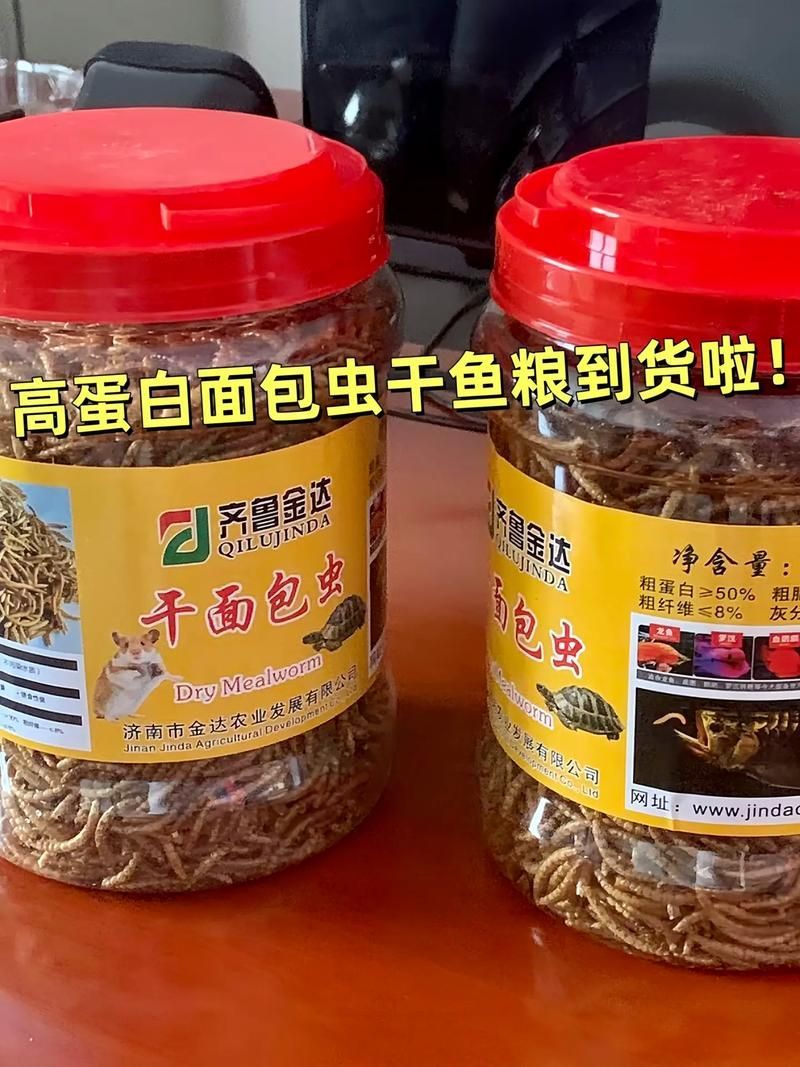 有哪些食物不適合小紅龍魚，關于小紅龍魚的一些問題