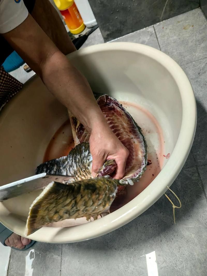 龍魚浮頭后如何恢復喂食