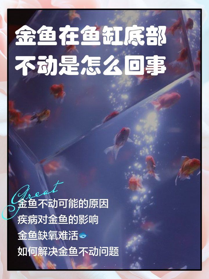 金魚趴缸底了,不活躍了，嚕嚕養寵物，金魚趴缸底需要多久恢復 金魚趴缸底了,不活躍了，嚕嚕養寵物，金魚趴缸底需要多久恢復 龍魚百科 第1張