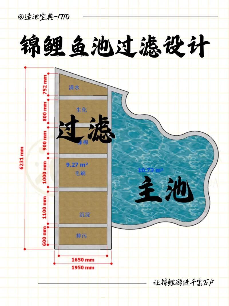 如何預(yù)防金龍魚(yú)得病？，如何預(yù)防金龍魚(yú)得病