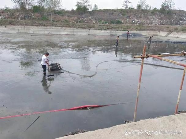西安地區冬季魚病防控有哪些案例,西安地區冬季魚病防控技術(如水霉病防控技術分析) 龍魚百科 第4張 西安地區冬季魚病防控有哪些案例,西安地區冬季魚病防控技術(如水霉病防控技術分析) 西安地區冬季魚病防控有哪些案例,西安地區冬季魚病防控技術(如水霉病防控技術分析) 龍魚百科 第4張