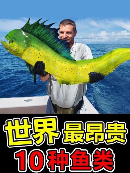 能否提供更多世界上最貴的食用魚圖片，世界上最貴的食用魚