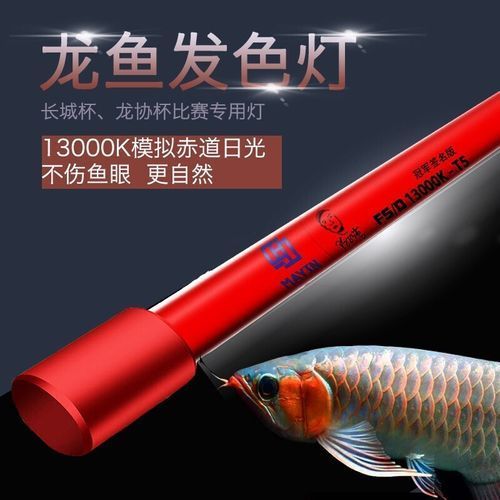 詳細閱讀:馬印龍魚烤色燈有哪些型號推薦,馬印龍魚烤色燈怎么樣? 馬印龍魚烤色燈有哪些型號推薦,馬印龍魚烤色燈怎么樣?