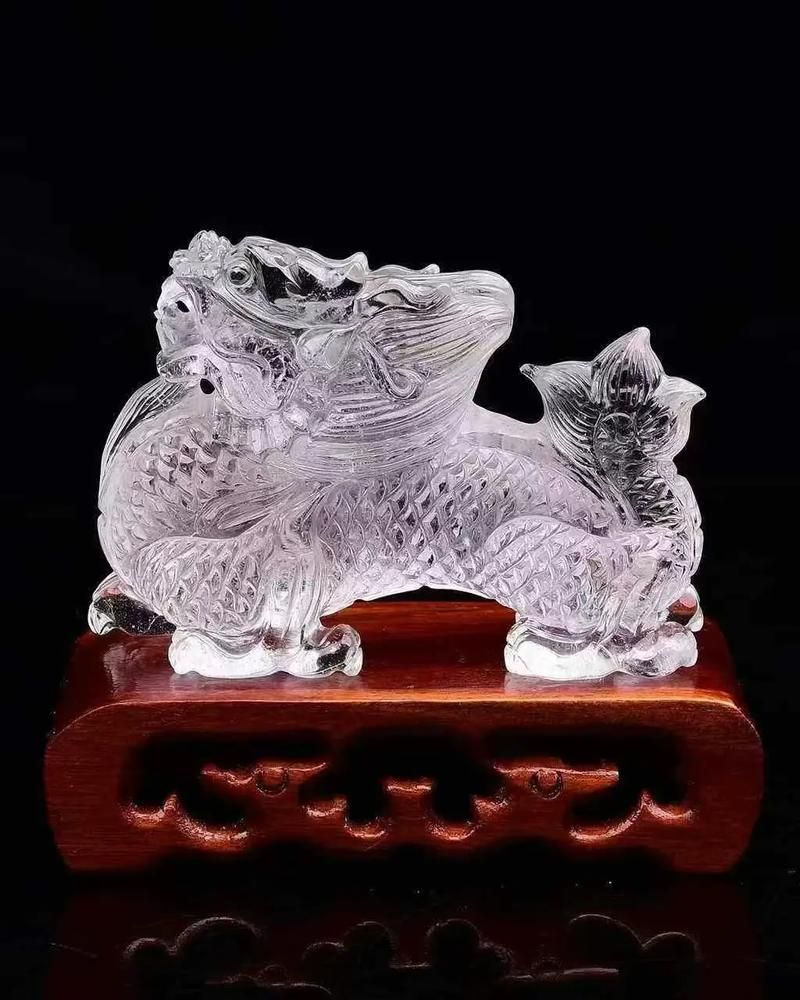 白子招財龍有哪些品相特征，白子招財龍有哪些品相特征，