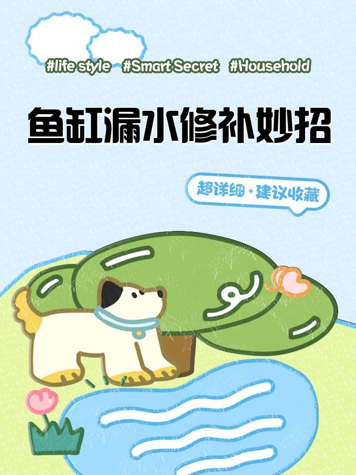 可麗愛魚缸的漏水問題如何解決，可麗愛魚缸有哪些型號常見漏水，可麗愛魚缸漏水會有什么后果？