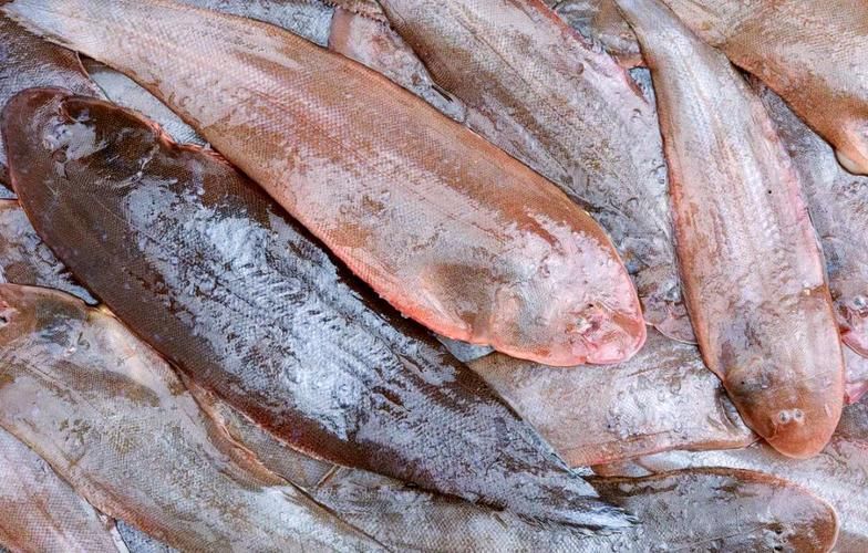 如何辨別真假龍利魚圖片對比，如何辨別真假龍利魚