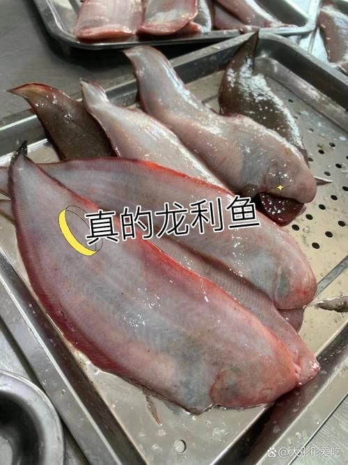 如何辨別真假龍利魚圖片對比，如何辨別真假龍利魚