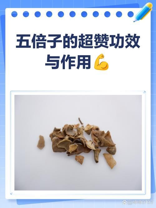 有哪些天然方法可以預(yù)防魚真菌感染